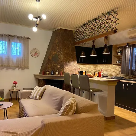 Daphne تسيليفي